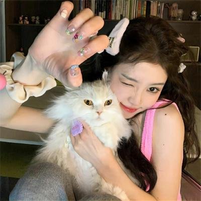黑之契约者2:流星的双子